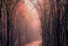 leyu乐鱼体育中国-绿茵场惊现金州图腾！拜仁慕尼黑隔空约战斯蒂芬·库里