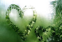 乐鱼体育线上网站-尼斯主场折戟！三连败阴云笼罩，荣耀之城何时重见阳光？