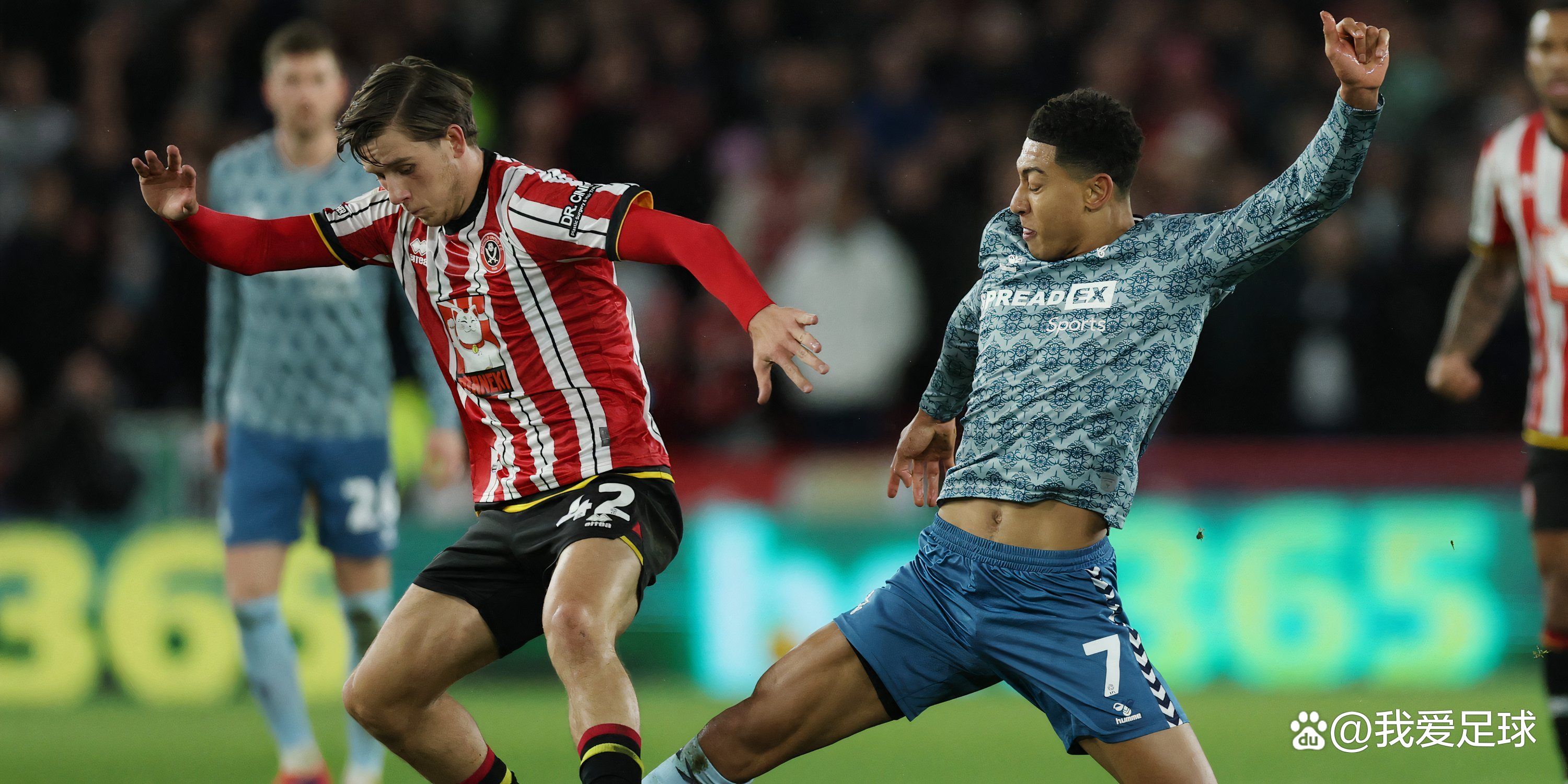 谢菲联新晋土炮喜获进球球迷喜出望外 谢菲联新晋土炮喜获进球球迷喜出望外