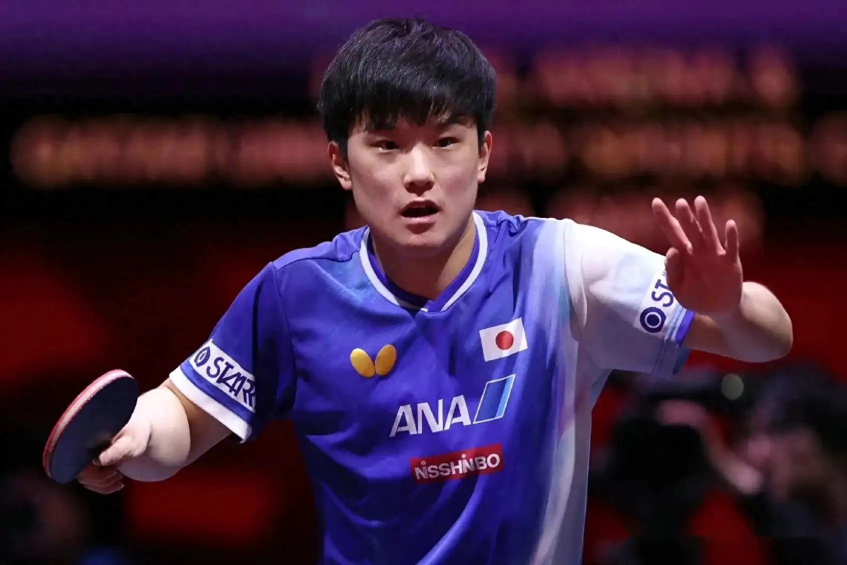 波兰乒乓球队碾压日本乒乓球队，张本智和惊艳世界